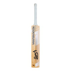 Kookaburra Ghost Marnus Labuchange Junior Cricket Bat 26