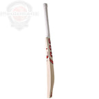 360 Bold EM Cricket Bat