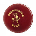 Kookaburra-Turf-Red-Cricket-Ball.jpg