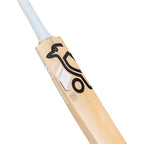 Kookaburra Ghost Marnus Labuchange Junior Cricket Bat 26