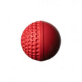 Swinga-Ball-Red-.jpg