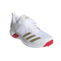 Adidas Adipower Vector 20 Spikes Cricket Shoes
