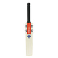 Gray Nicolls Mini Bat