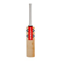 Gray Nicolls Catch Bat