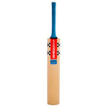 Gray Nicolls Arctos Force Junior Bat