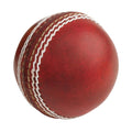 Gray Nicolls Autograph Ball Red
