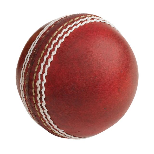 Gray Nicolls Autograph Ball Red