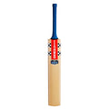 Gray Nicolls Volt 500 Cricket Bat