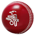 kooka-practice.jpg