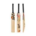 Kookaburra Diablo Pro 8.1 Junior Cricket Bat 26