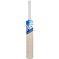 New Balance TC 400 + Cricket Bat