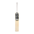 SS TON Players Replica Cricket Bat