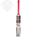 SS Phantom 5.0 Cricket Bat