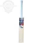 SS Professional 1.0 Cricket Bat