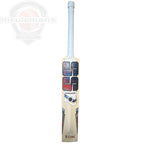 SS Professional 1.0 Cricket Bat