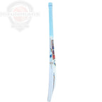 SS Professional 1.0 Cricket Bat