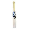 SS TON Pro 1.0 Cricket Bat